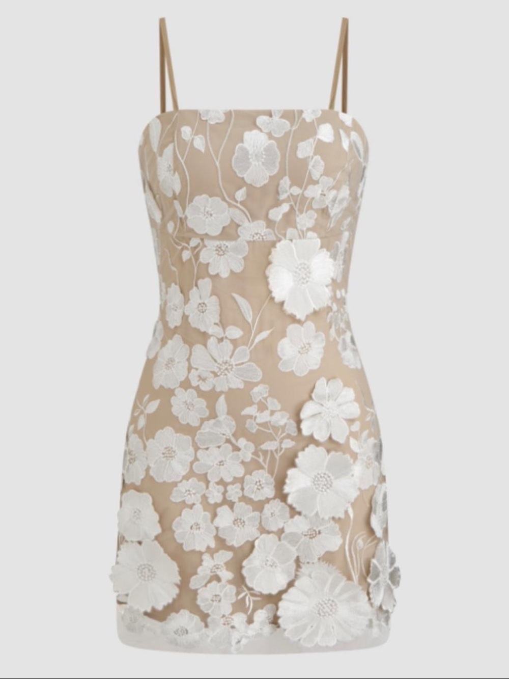 Floral Appliqué Nude Mini Dress with White Embroidery